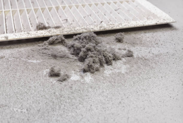 Best Affordable Duct Cleaning Services  in Pleasant Hill, IA